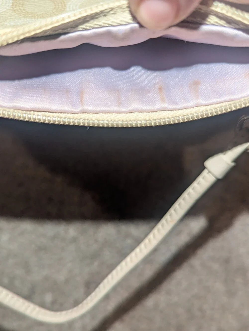 Coach Waverly Wristlet